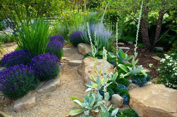 Professionnel pour la création d'un jardin zen japonais - Fareins - Bennier Henri